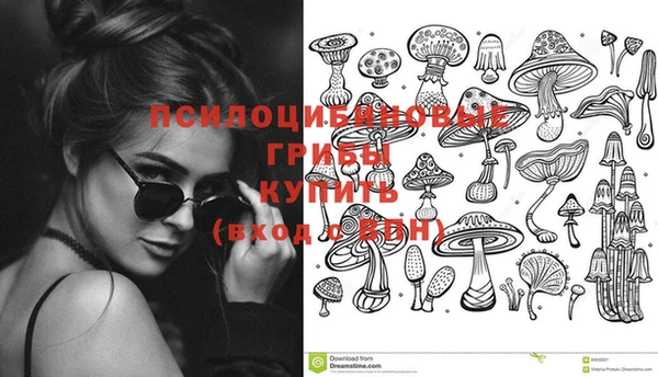круглые Новодвинск