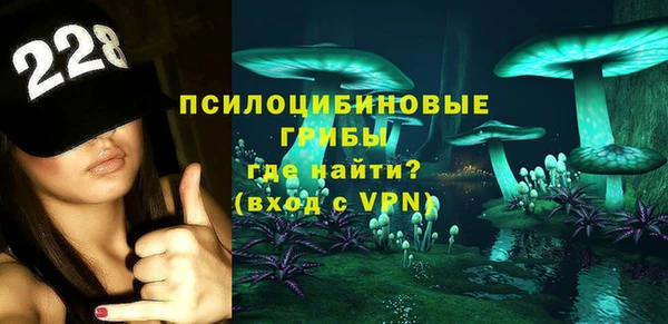 дмт Новокубанск