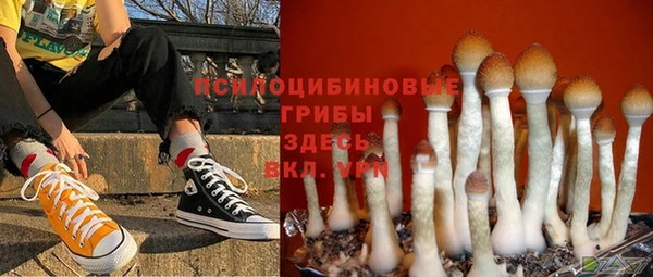 дистиллят марихуана Новозыбков