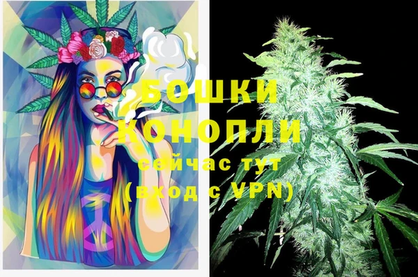 дмт Новокубанск
