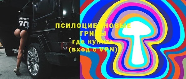 дмт Новокубанск