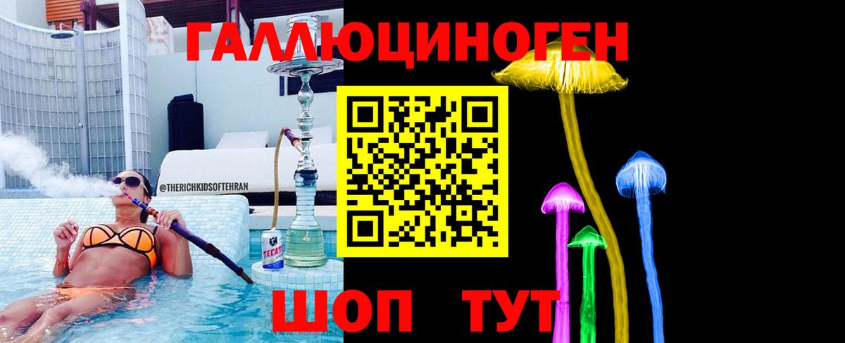 Псилоцибиновые грибы Psilocybe  Вход с VPN  Кировск 
